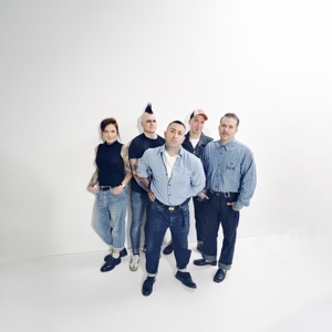 Broilers