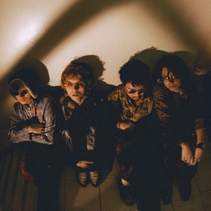 IV OF SPADES